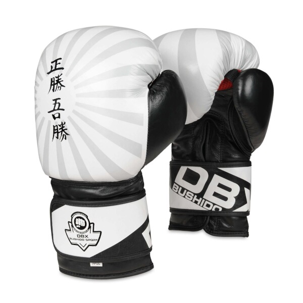 BUSHIDO - Boxerské rukavice DBX B-2v8, 10oz