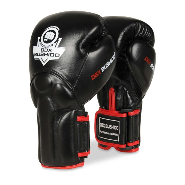 BUSHIDO - Boxerské rukavice DBX BB2, 10oz