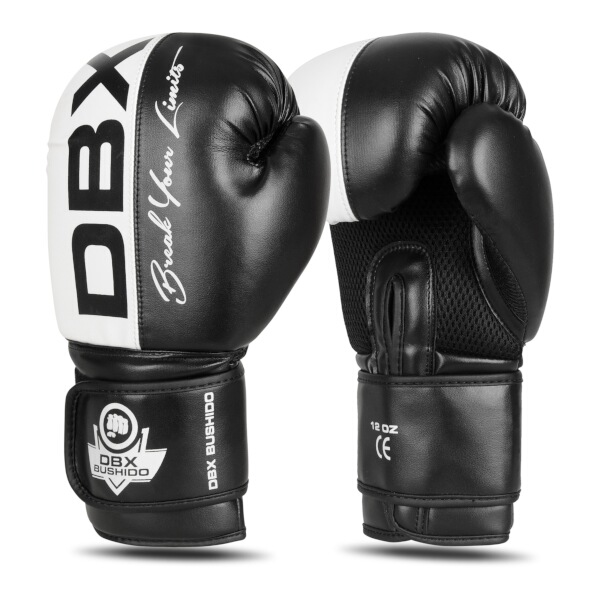 BUSHIDO - Boxerské rukavice DBX BUSHIDO B-2v20, 10oz