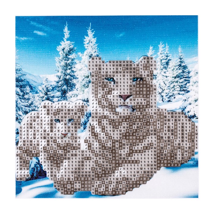 CENTRUM LITVA - Diamantová mozaika 5D Tiger (20x20 cm)