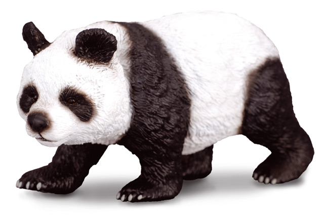 Collecte - Panda Velká