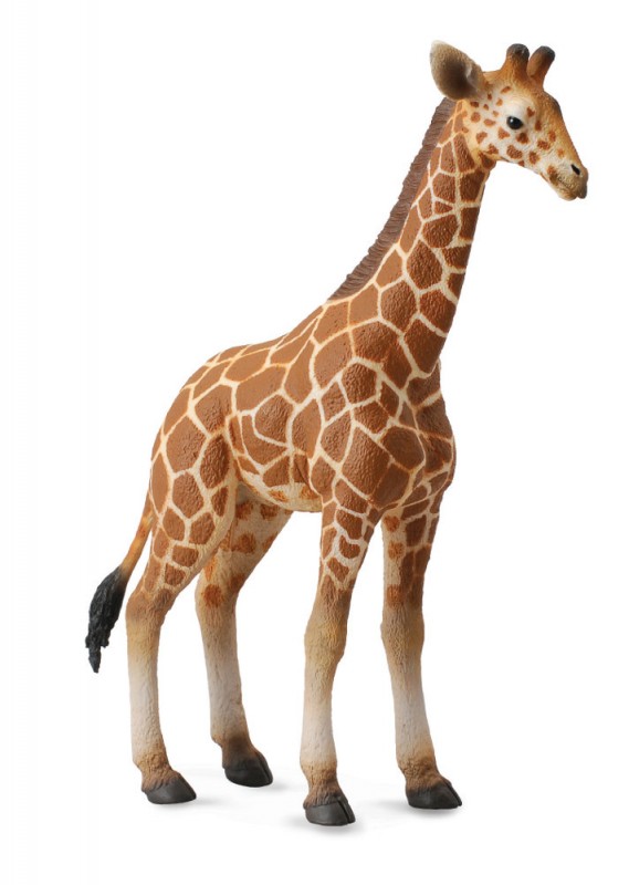 Collecte - Žirafa - mládě