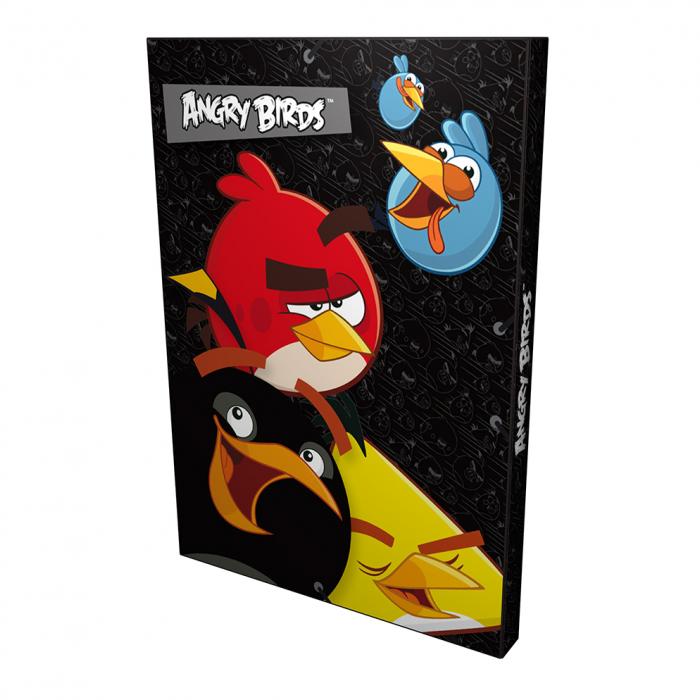DERFORM - Box na sešity A4 Angry Birds
