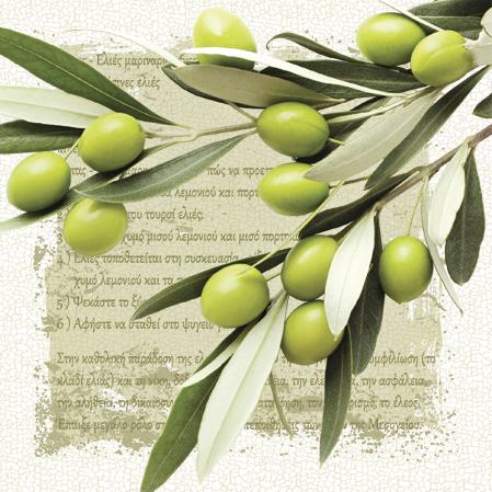 PAW - Ubrousky L 33x33cm Greek Olives
