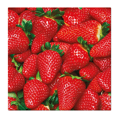 PAW - Obrúsky L 33x33cm Raw Strawberries