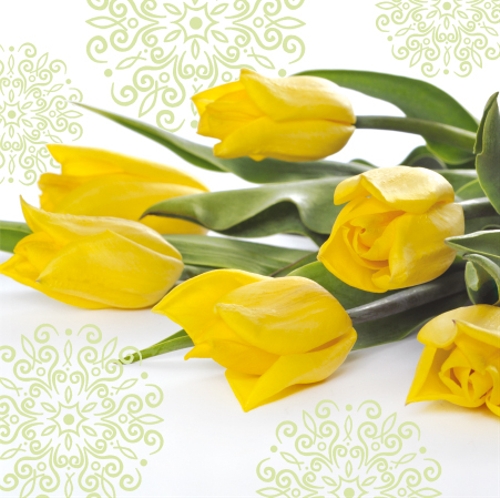 PAW - Ubrousky L 33x33cm Yellow Tulips