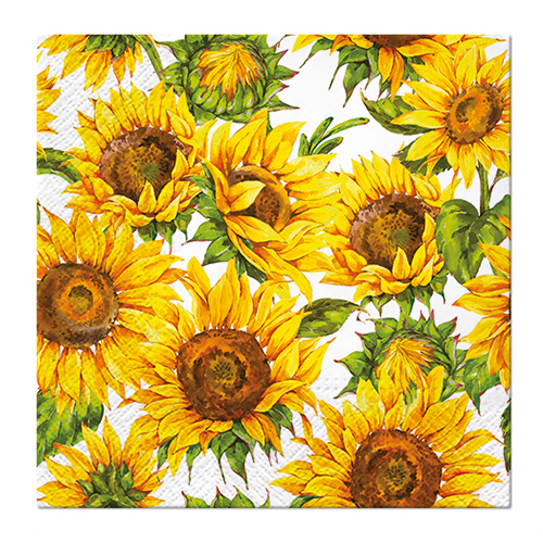 PAW - Ubrousky R 32 cm Dancing Sunflowers
