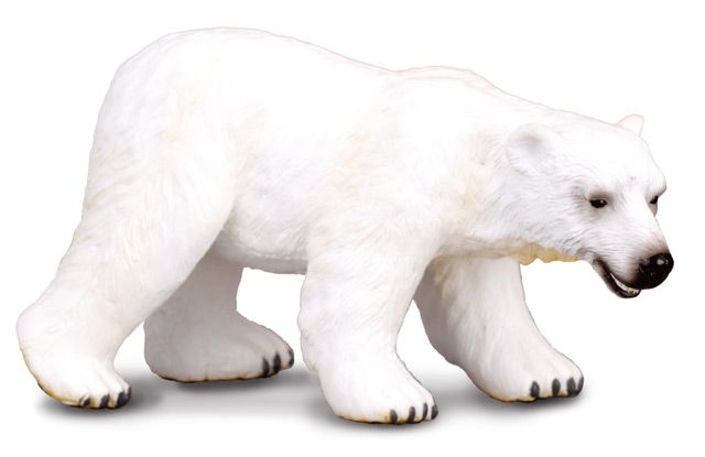 COLLECTA - Medvěd Lední
