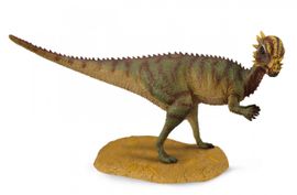 Collecte - pachycephalosaurus