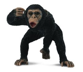 Collecte - Šimpanz