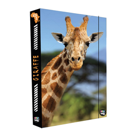 KARTON PP - Box na sešity A4 Jumbo Žirafa