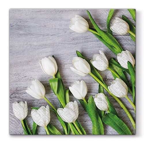 PAW - Ubrousky L 33X33cm White Tulips