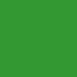 PROTOS - Papír samolepící A4 10ks zelený