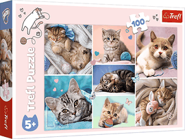 TREFL - Puzzle 100 - Koťata