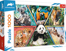 TREFL - Puzzle 1000 - Království zvířat