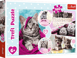 TREFL - Puzzle 160 - Rozkošná koťata
