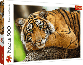 TREFL - Puzzle 500 - Portrét tygra