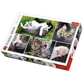 TREFL - Puzzle Kočky koláž 1500