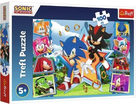 TREFL -  Puzzle 100 dílků - Seznamte se se Sonicem / SEGA Sonic The Headgehog